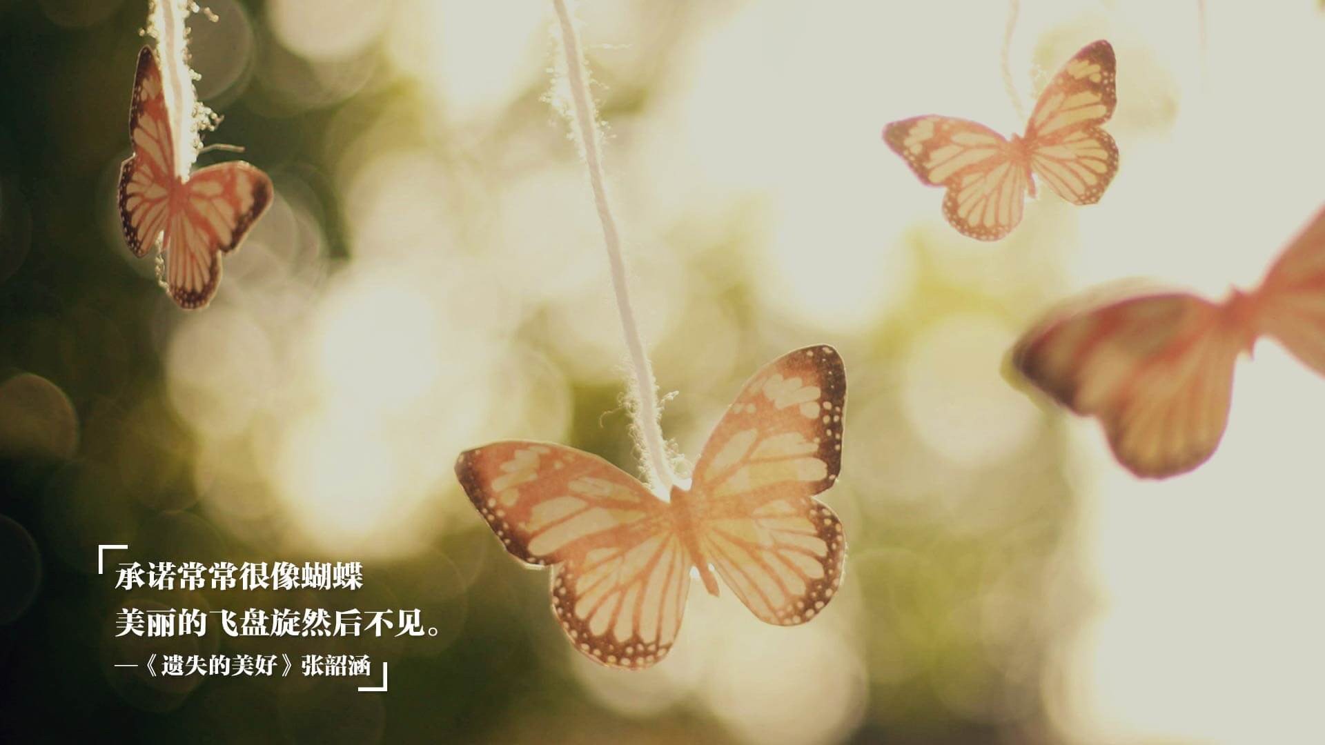 积分榜分析：哪些球队战斗力逐步提升，值得期待？，球队积分排名