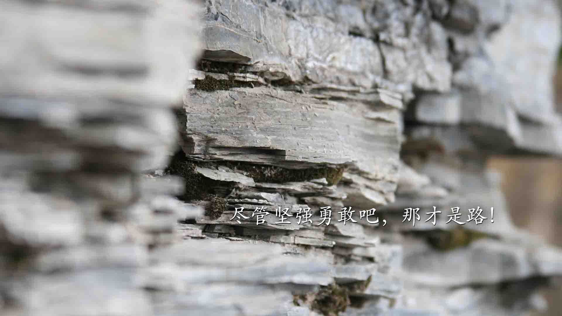 赛季最炫的外线投篮集锦：远远超出你的想象，外线投篮是三分球吗